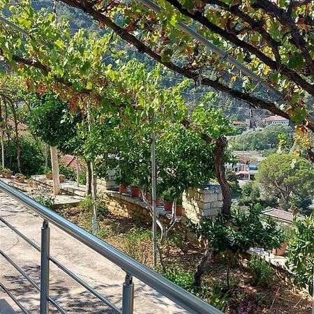 Green Forest Berat Exterior foto