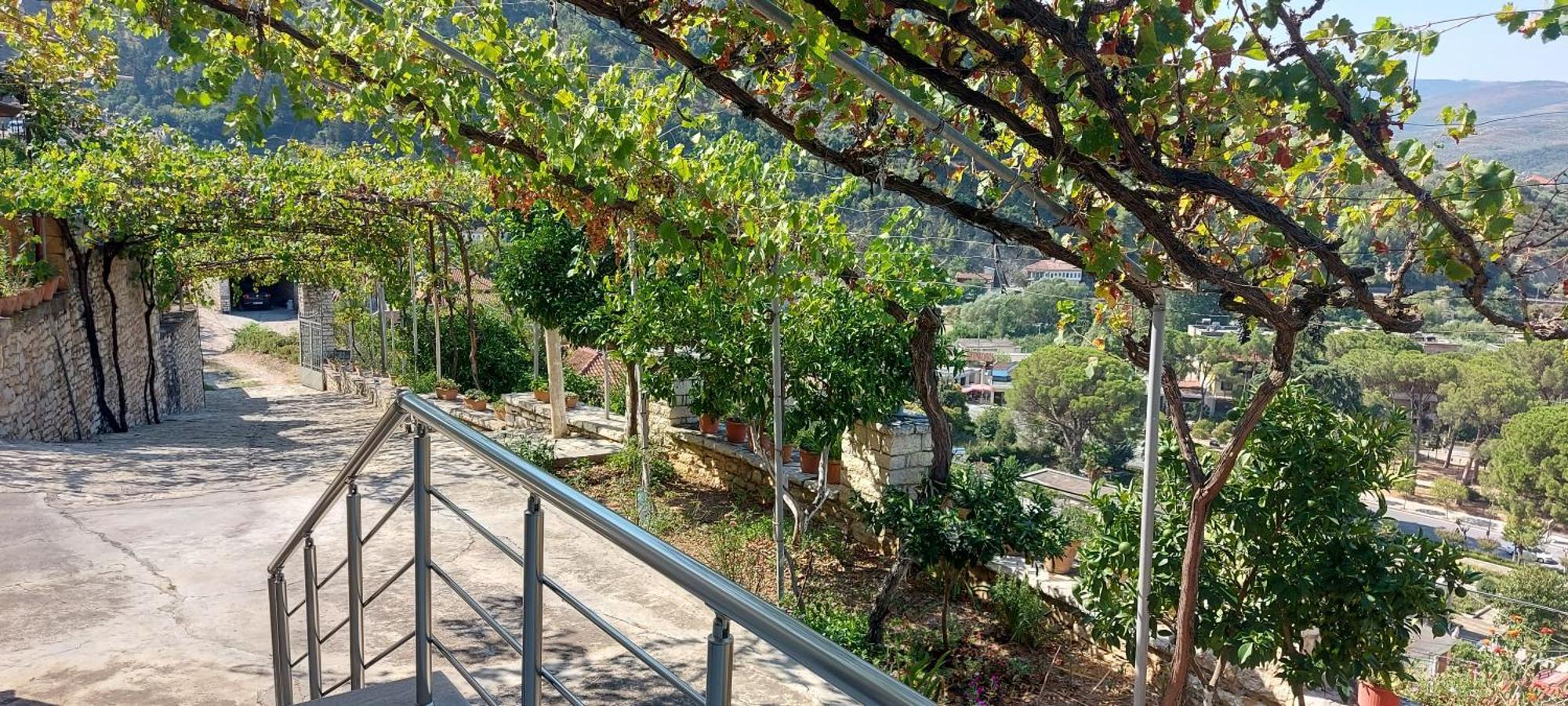 Green Forest Berat Exterior foto